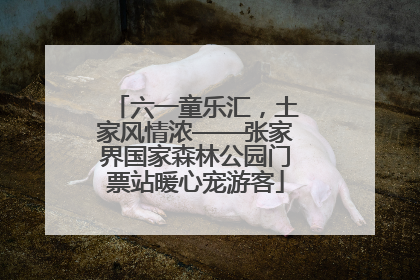 六一童乐汇，土家风情浓——张家界国家森林公园门票站暖心宠游客